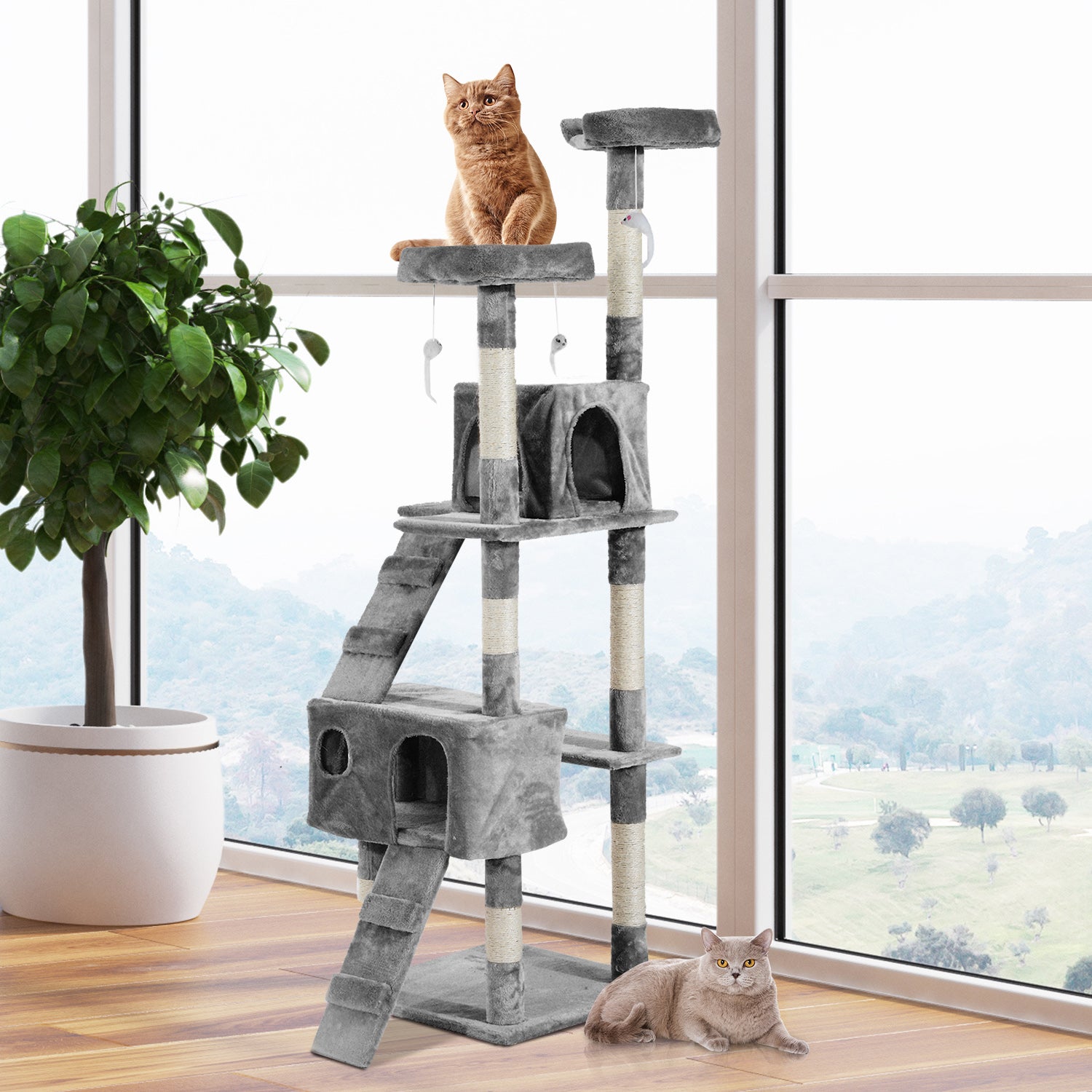 PawHut 67-inch Multi-Level Cat Scratching Tree Kitty Activity Center em cor cinza com várias plataformas, rampas e arranhadores, proporcionando diversão e conforto para gatos em ambiente iluminado e moderno.