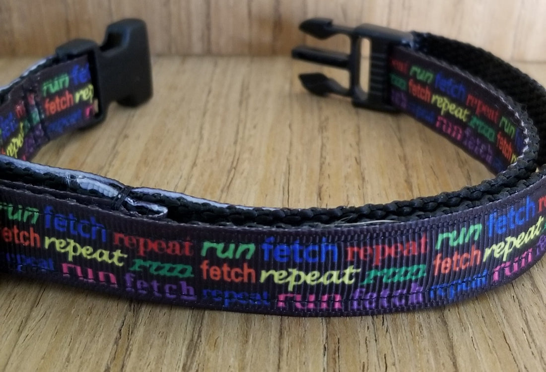 Coleira para cão com tamanho Small, design colorido com texto "run fetch repeat", ideal para atividades ao ar livre com suplementos premium naturais para energia, vitalidade e saúde cognitiva.