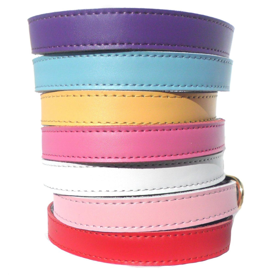 Conjunto colorido de Plain Chelsea Dog Collars (4 sizes) 8-16" em cores vibrantes, ideal para cães; suplementos premium naturais para energia, vitalidade e saúde cognitiva.