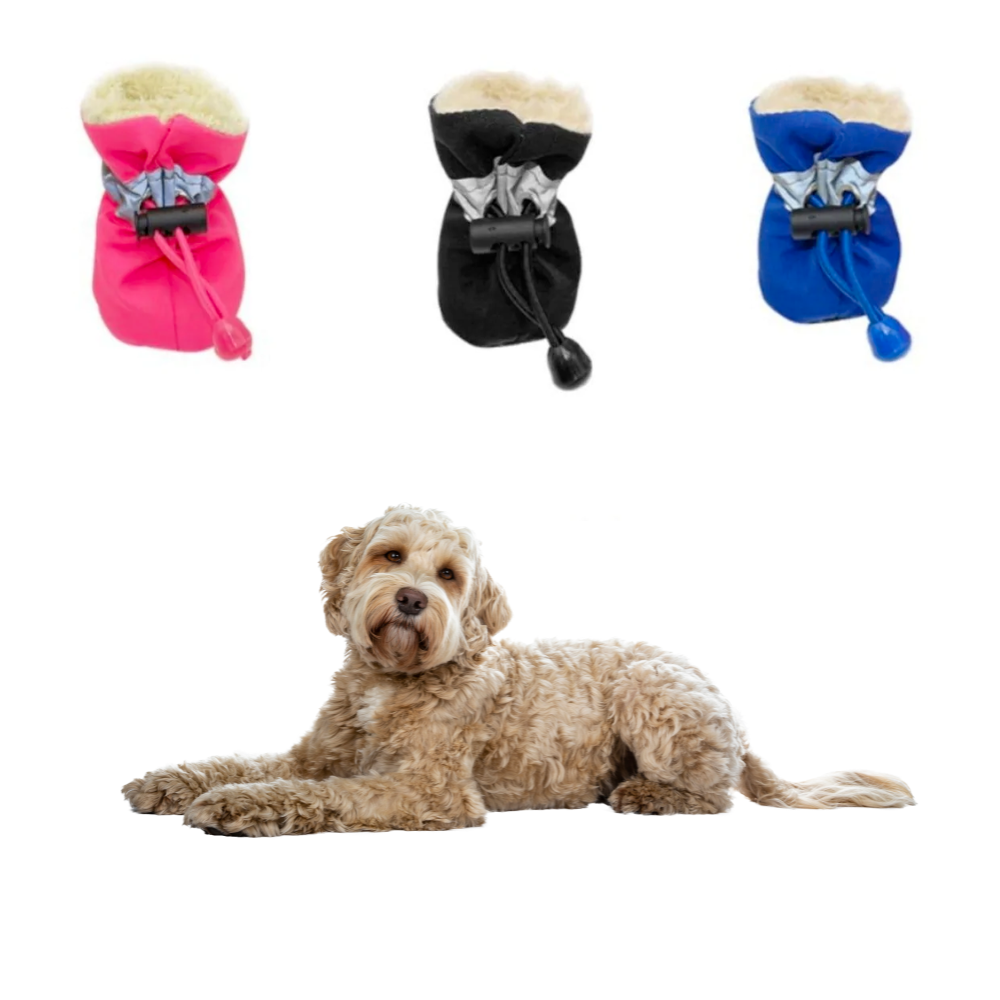 Conjunto Dogs Winter Warm Shoes 4 PCS Set em rosa, preto e azul com interior acolchoado para manter as patas do cão quentes, ideal para o inverno, promovendo conforto e proteção.