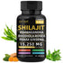Biyode Effective Formula Ready Stock Fast Shipping Wholesale Pure Natural Himalayan Shilajit Capsules With Ashwagandha Ginseng Healthcare Vitamin 8 In 1 Energy suplemento premium natural em cápsulas, ideal para energia, vitalidade e saúde cognitiva, desenvolvido para o mercado português.