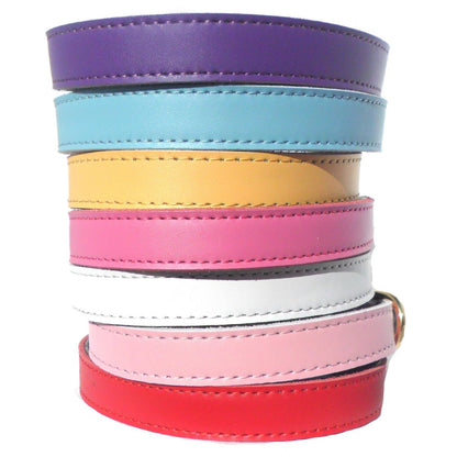 Conjunto colorido de Plain Chelsea Dog Collars (4 sizes) 8-16" em cores vibrantes, ideal para cães; suplementos premium naturais para energia, vitalidade e saúde cognitiva.