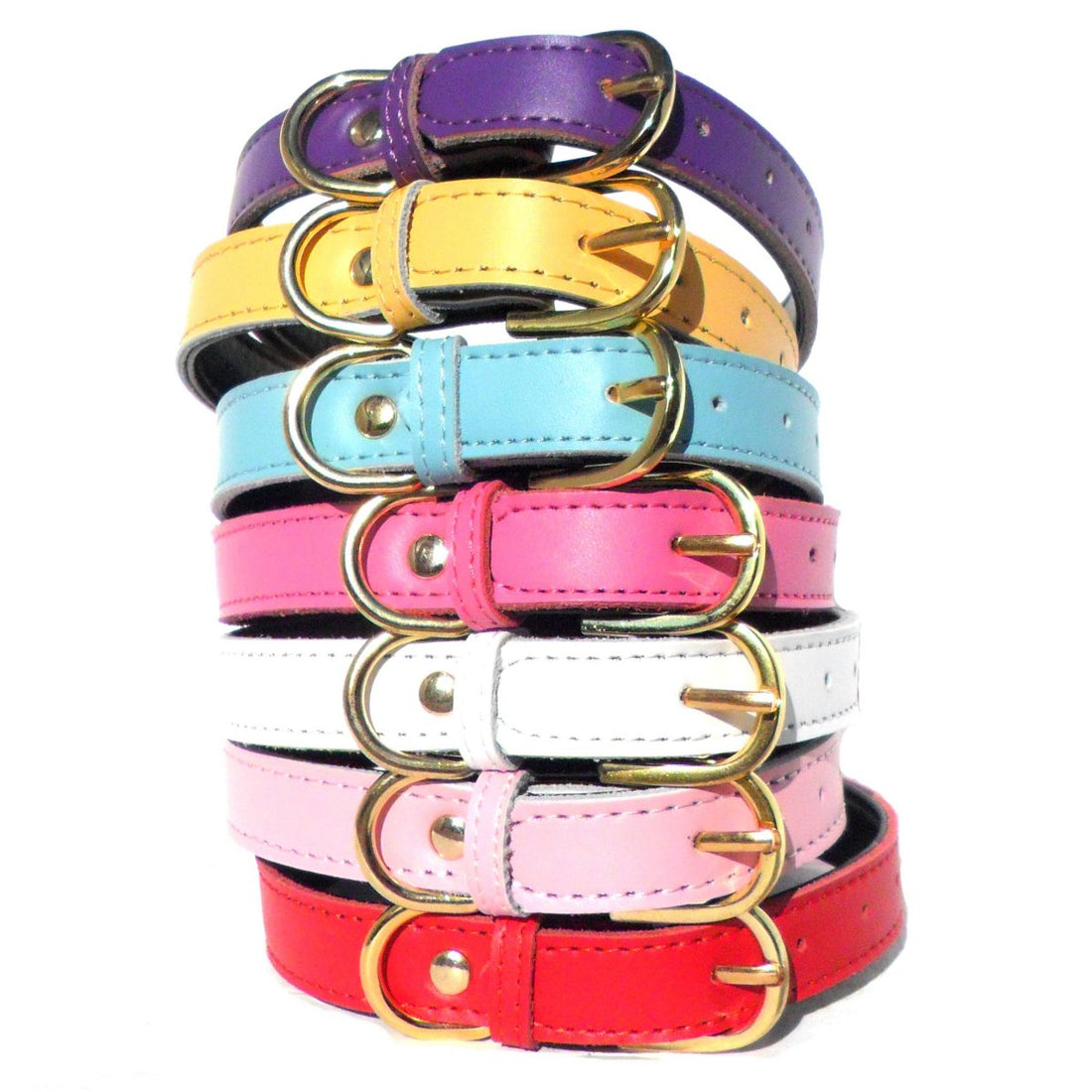 Coleção de Plain Chelsea Dog Collars (4 sizes) 8-16" em várias cores vibrantes, ideal para quem procura suplementos premium naturais para energia, vitalidade e saúde cognitiva.