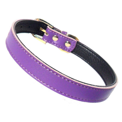 Coleira roxa para cães feita em material resistente com fivela dourada, design simples e elegante, ideal para uso diário. Produto Plain Chelsea Dog Collars (4 sizes) 8-16".