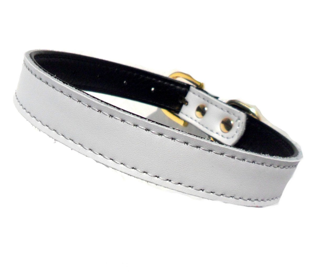 Plain Chelsea Dog Collars (4 sizes) 8-16" branco, feito com materiais duráveis e design simples, ideal para complementar suplementos premium naturais para energia, vitalidade e saúde cognitiva.