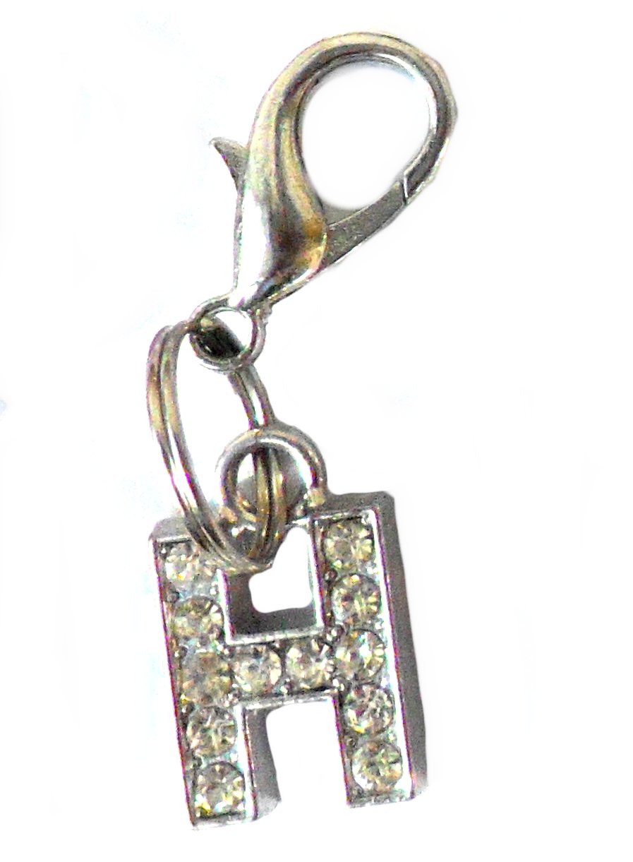 Pingente de letra H com cristais brilhantes prateados para coleira de animais, parte da coleção A-Z Crystal Letter Pet Charms, inspirado em suplementos premium naturais para energia, vitalidade e saúde cognitiva.