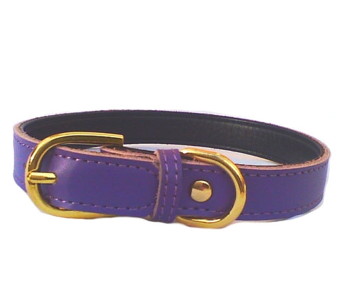 Plain Chelsea Dog Collars (4 sizes) 8-16" em couro roxo com fivela e argola douradas, projetado para conforto e durabilidade, ideal para suplementos premium naturais para energia, vitalidade e saúde cognitiva.