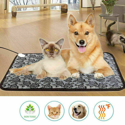 Cao e gato confortáveis deitados sobre Thermal Heating Waterproof Bed Pad for Pets with Adjustable, promovendo bem-estar natural e conforto térmico, ideal para suplementos premium naturais para energia e vitalidade.