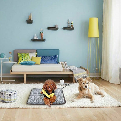 Dois cães de tamanho médio em sala moderna, um deitado sobre o Thermal Heating Waterproof Bed Pad for Pets with Adjustable, oferecendo conforto térmico, ideal para suplementos premium naturais para energia, vitalidade e saúde cognitiva.
