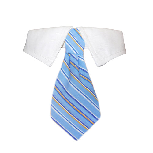 Gola de camisa Kyle Shirt Collar branca com gravata azul clara listrada, destacando-se por estilo clássico e elegante para ocasiões formais.