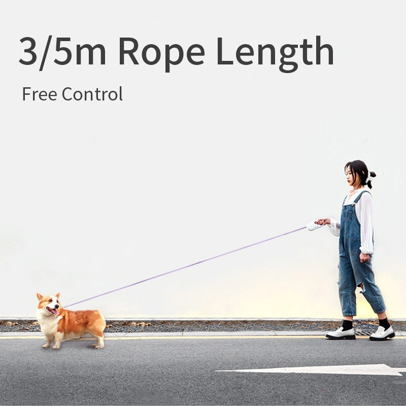 Mulher a passear um cão pequeno usando uma Automatic Retractable Lighting Dog Leash com corda estendida, demonstrando controlo e liberdade durante o passeio.