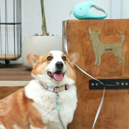 Cão feliz usando Automatic Retractable Lighting Dog Leash retrátil com cabo iluminado, ideal para passeios seguros e práticos em ambientes urbanos e ao ar livre.