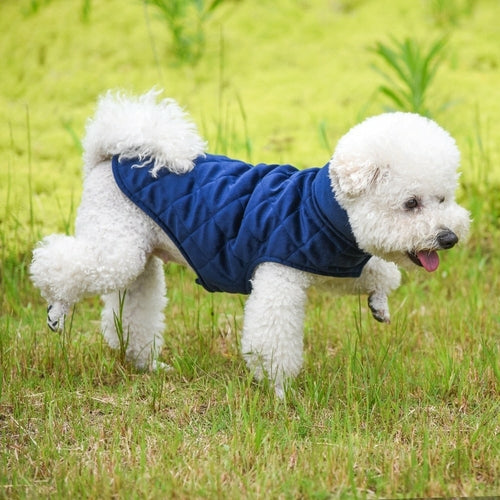Cão branco vestido com Dogs Winter Warm Vest azul escuro, vestuário acolchoado para proteção térmica durante o inverno, associado a suplementos premium naturais para energia, vitalidade e saúde cognitiva.