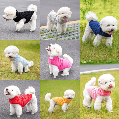 Cão branco pequeno usando Dogs Winter Warm Vest em várias cores, destacando conforto e proteção para os dias frios, associado a suplementos premium naturais para energia e vitalidade.