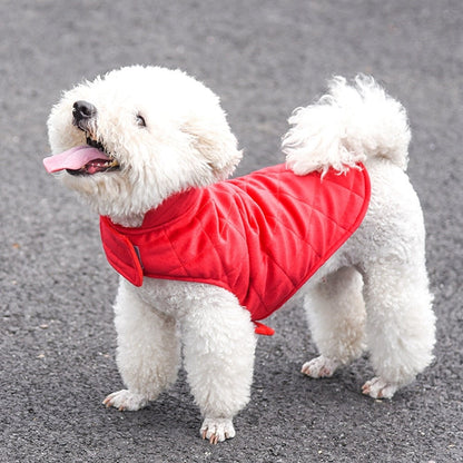 Cão branco usando Dogs Winter Warm Vest vermelho, destacando conforto e proteção para o frio, ideal para donos que valorizam bem-estar natural e suplementos premium.