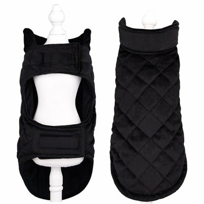 Vest Dogs Winter Warm Vest preto acolchoado, ideal para manter o seu cão confortável e aquecido durante o inverno, combinando estilo e proteção eficaz.